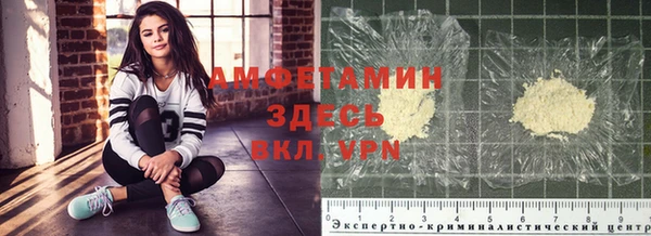 ГАЛЛЮЦИНОГЕННЫЕ ГРИБЫ Костерёво