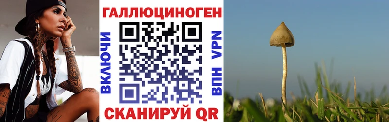 Галлюциногенные грибы ЛСД  Осинники 